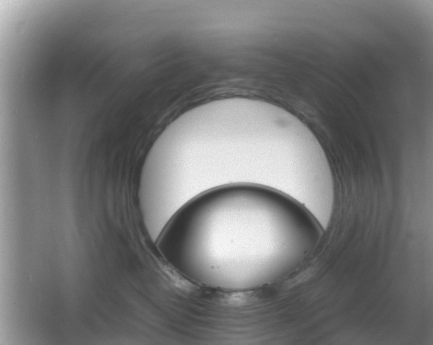 X0000066540382200603241417