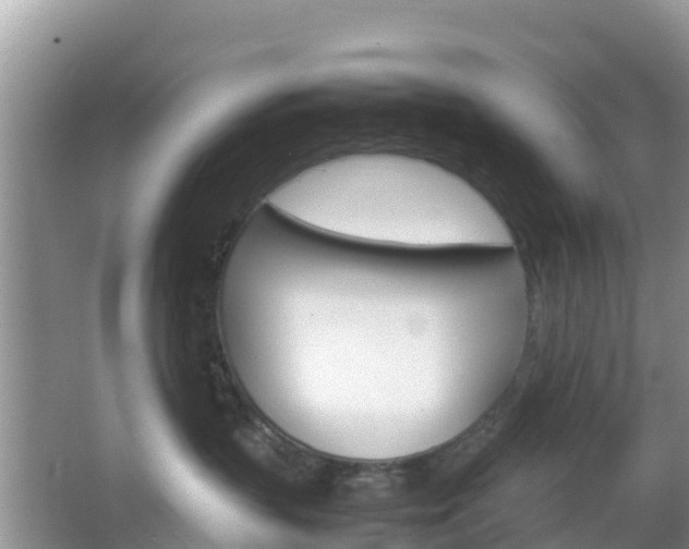 X0000066540383200603241417