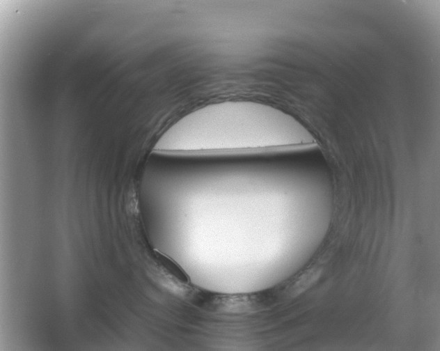 X0000066540384200603241418