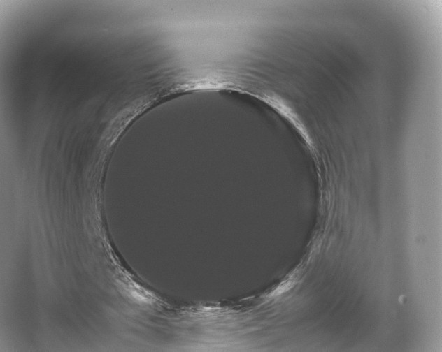 X0000066540385200603241417