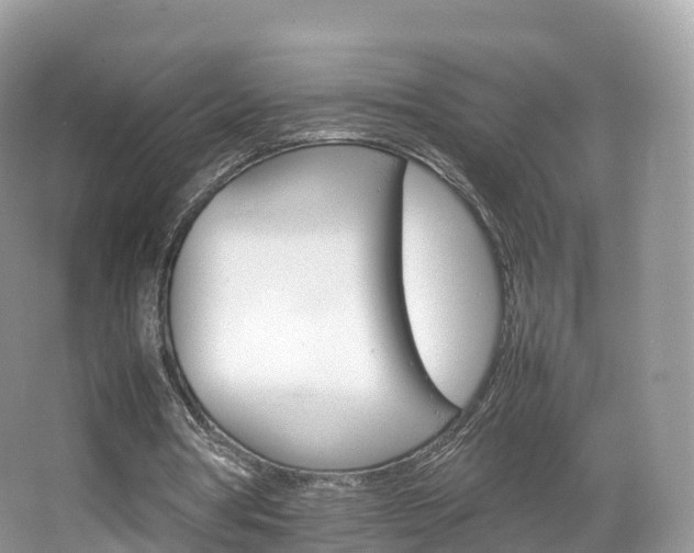 X0000066540386200603241417