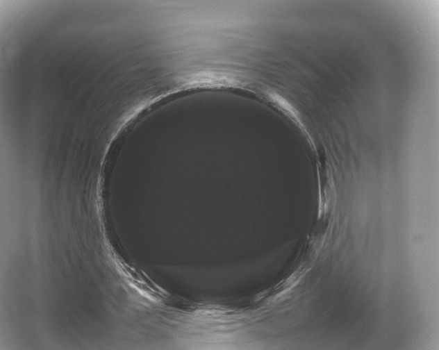 X0000066540387200603241417