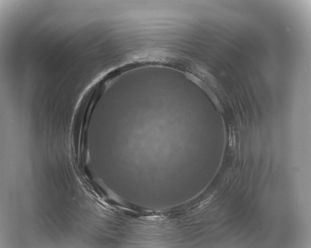 X0000066540388200603241417