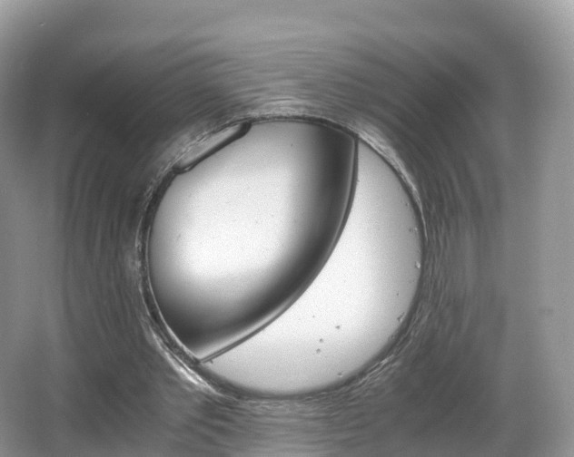 X0000066540389200603241417