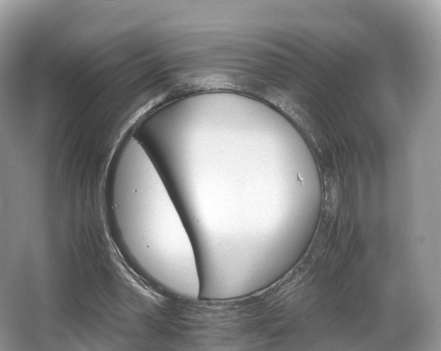 X0000066540390200603241417