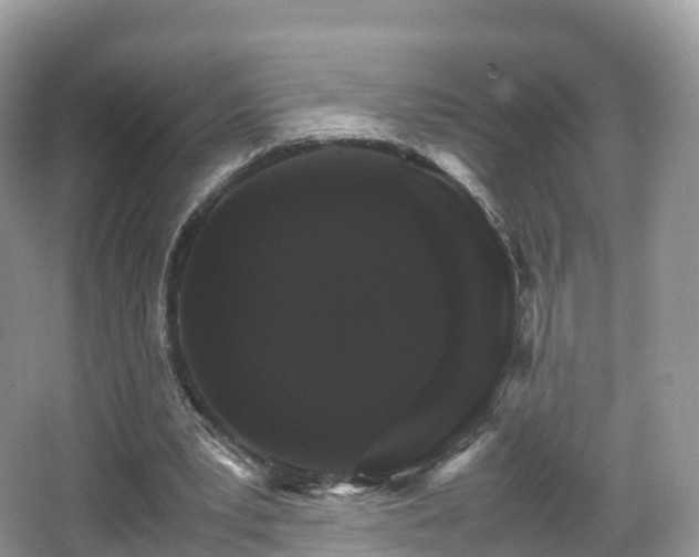 X0000066540391200603241417