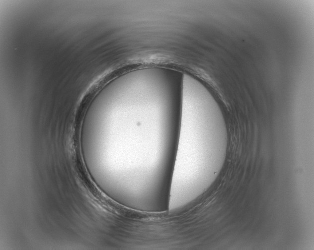 X0000066540392200603241417