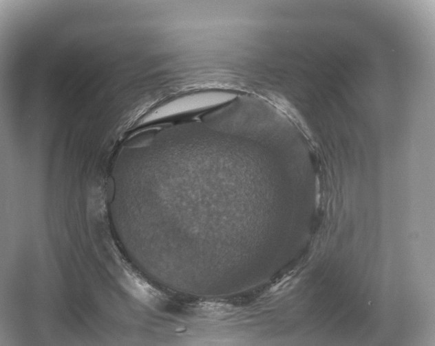 X0000066540393200603241417