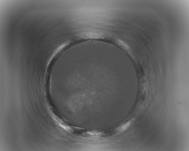 X0000066540395200603241417