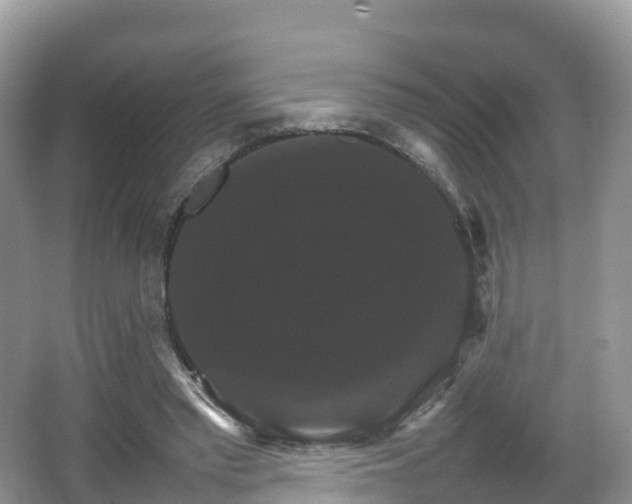 X0000066540397200603241417