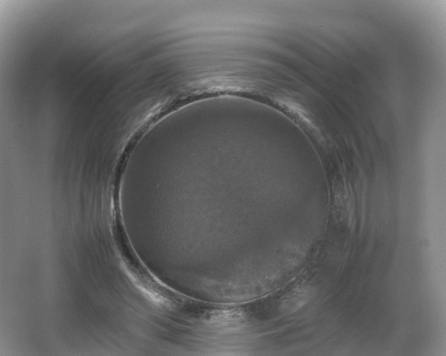 X0000066540398200603241416