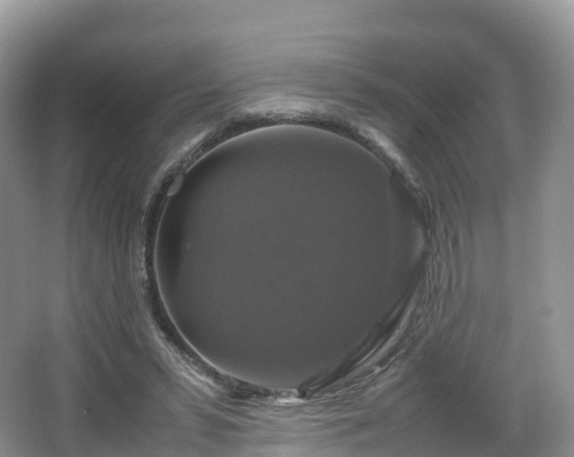 X0000066540399200603241416