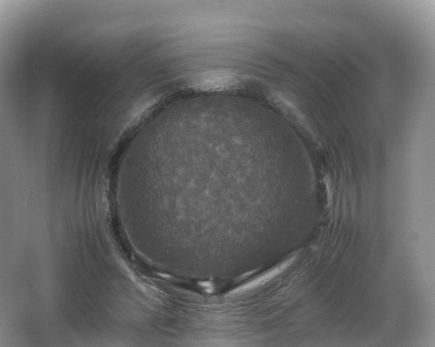 X0000066540400200603241416