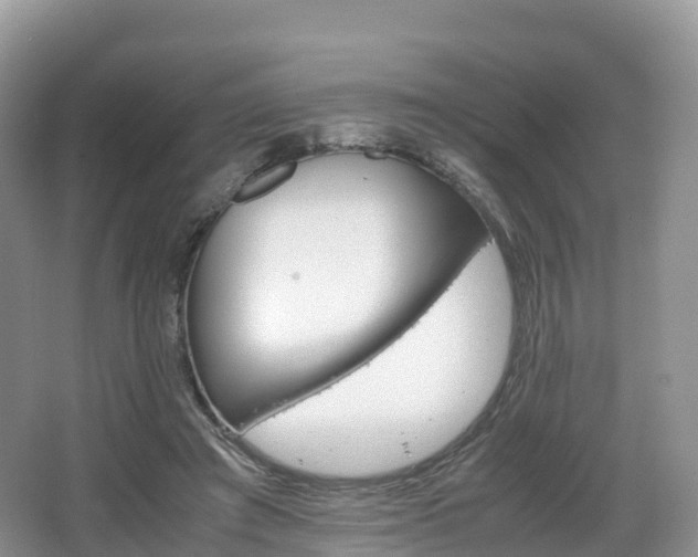 X0000066540401200603241416