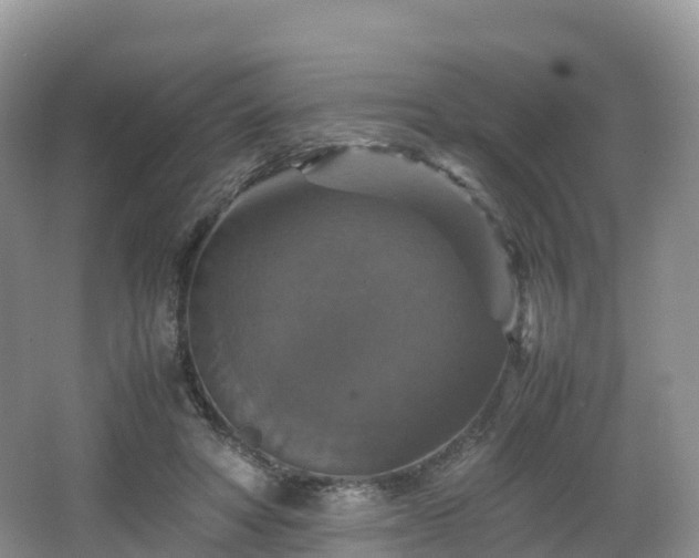 X0000066540402200603241416