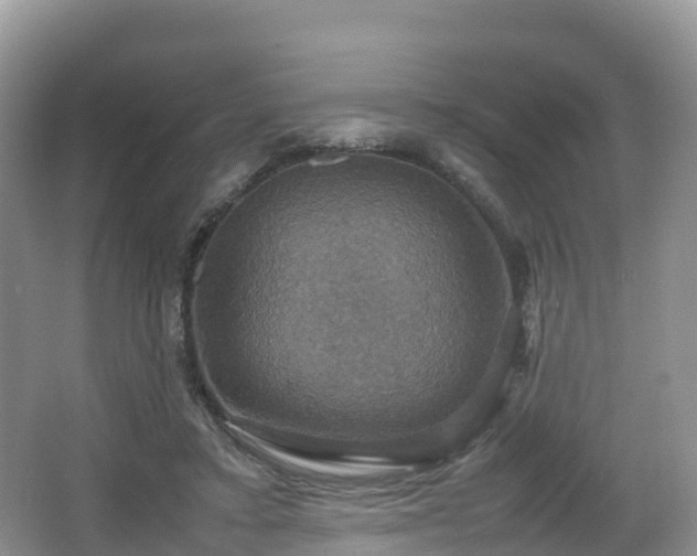 X0000066540403200603241416