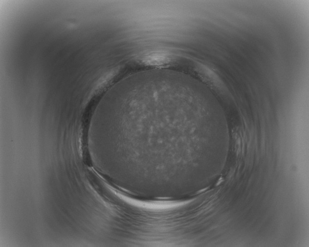 X0000066540404200603241416