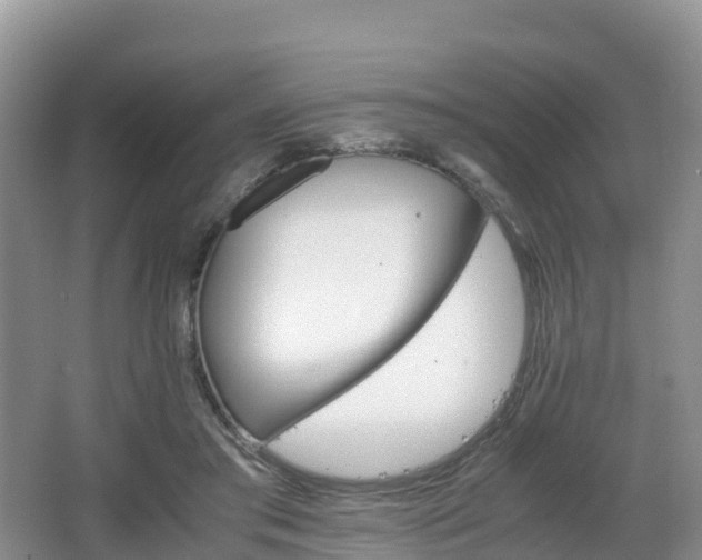 X0000066540405200603241416