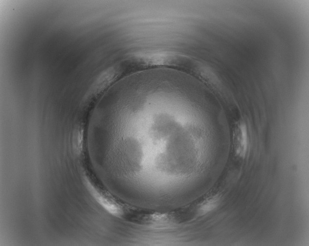 X0000066540406200603241416