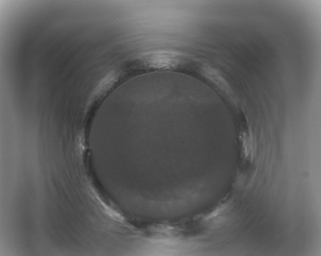 X0000066540407200603241416