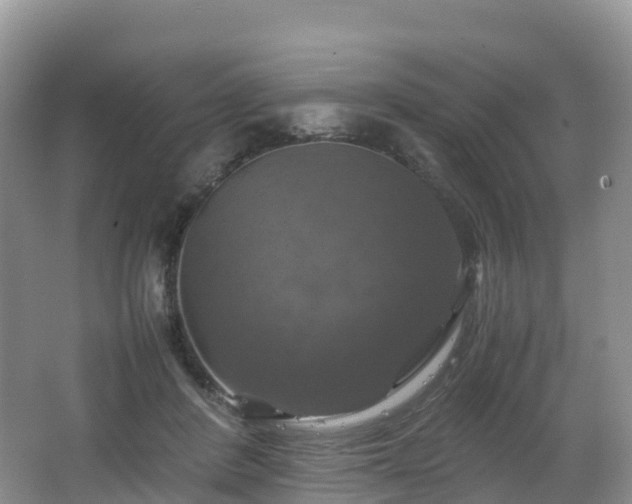 X0000066540408200603241416