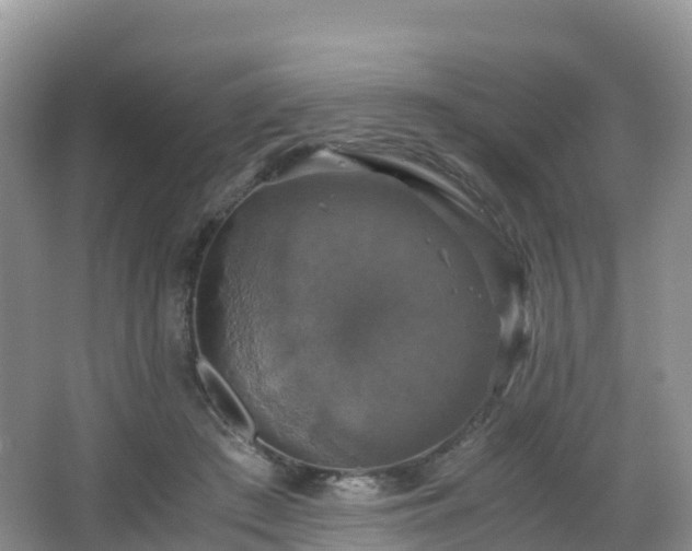 X0000066540409200603241416