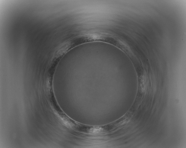 X0000066540410200603241416