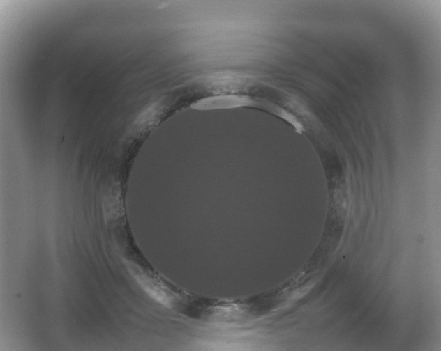 X0000066540411200603241416