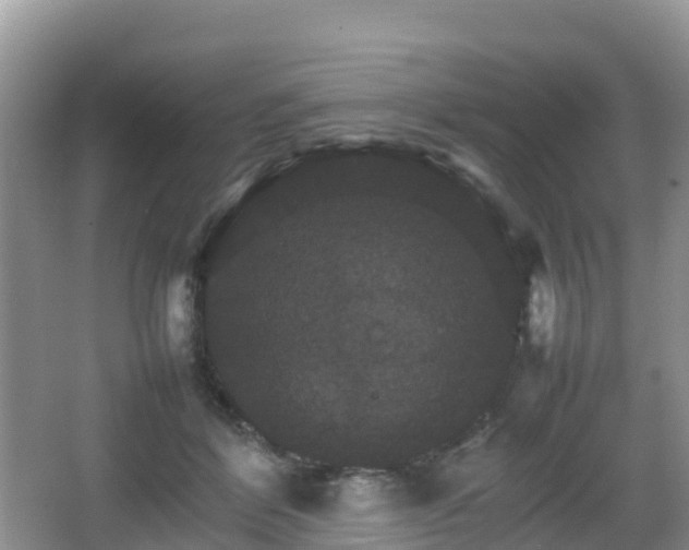 X0000066540412200603241416