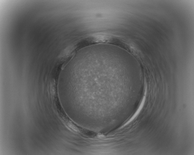 X0000066540413200603241416