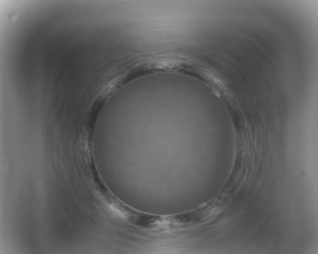 X0000066540415200603241416