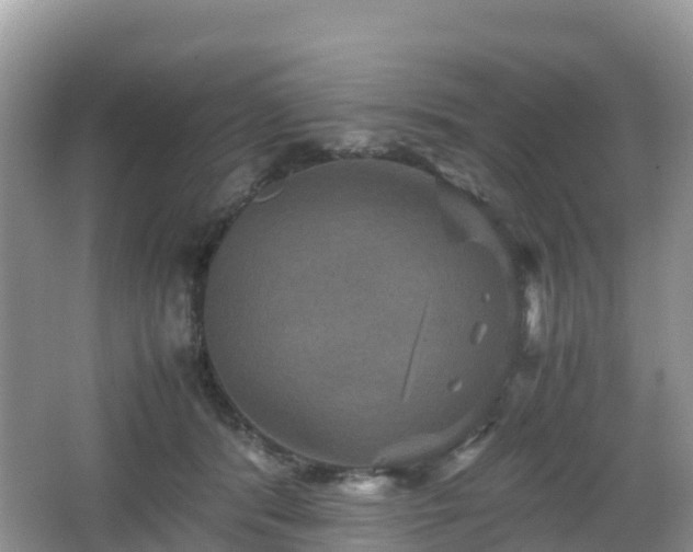 X0000066540416200603241416