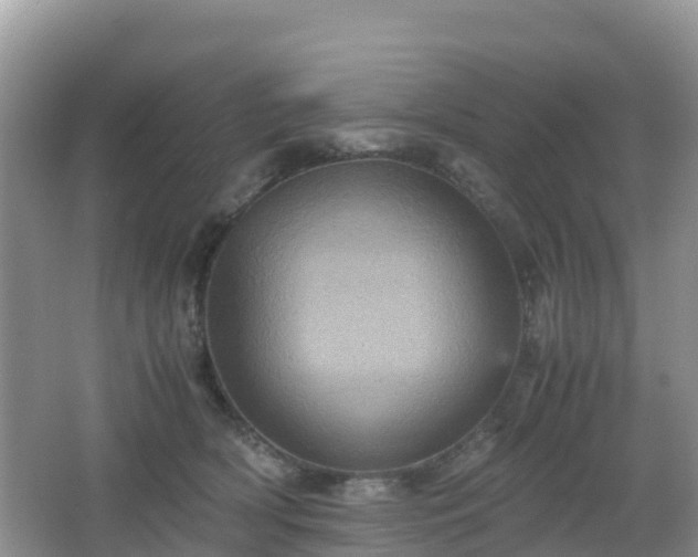 X0000066540418200603241416