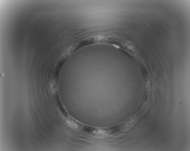 X0000066540419200603241416