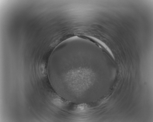 X0000066540420200603241416