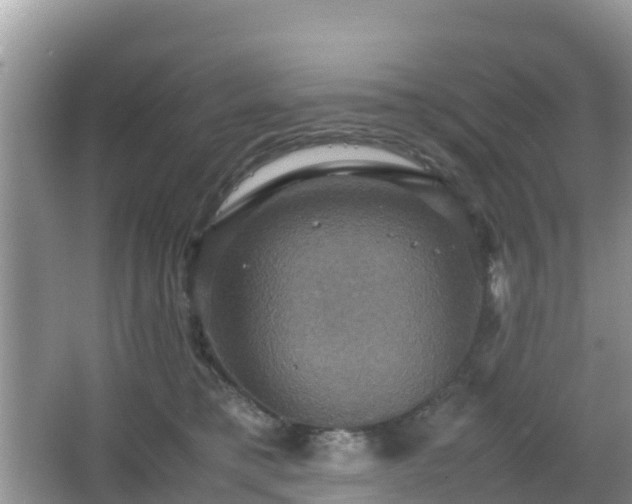 X0000066540421200603241416