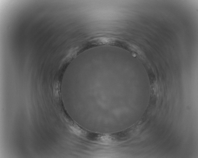 X0000066540423200603241416