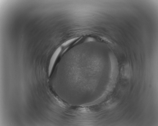 X0000066540424200603241416