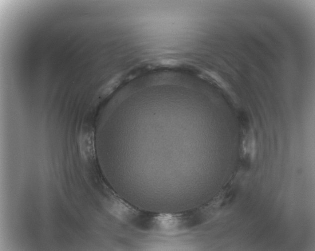 X0000066540425200603241416