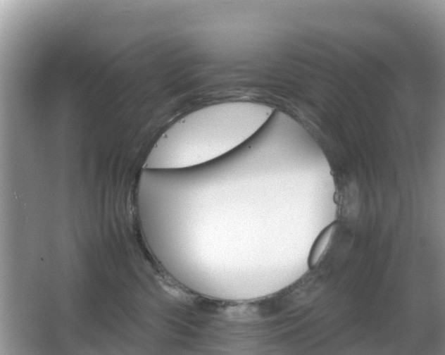 X0000066540426200603241416