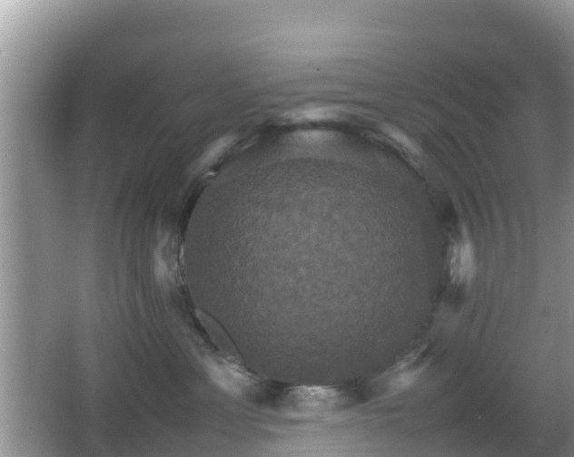 X0000066540429200603241416