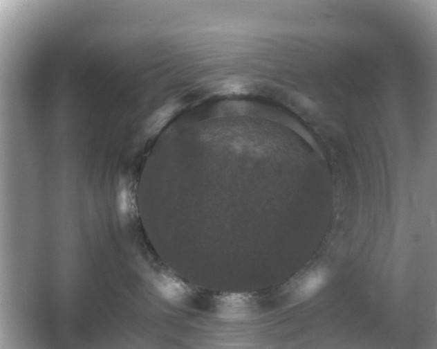 X0000066540432200603241416