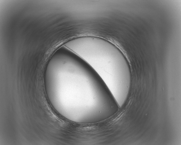 X0000066540433200603241415