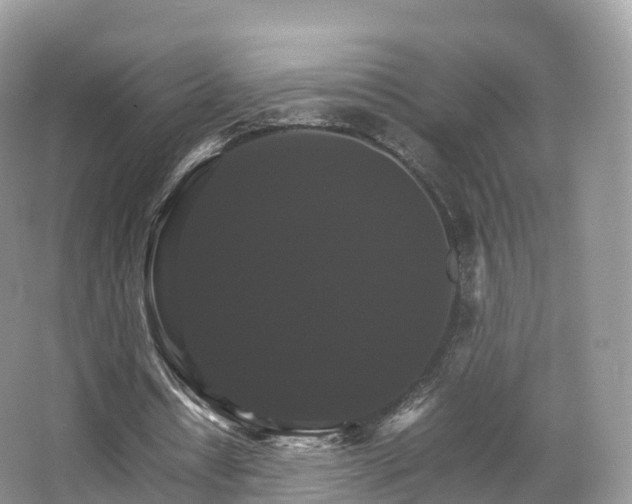 X0000066540434200603241415