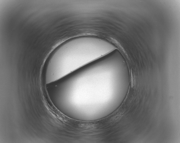 X0000066540435200603241415