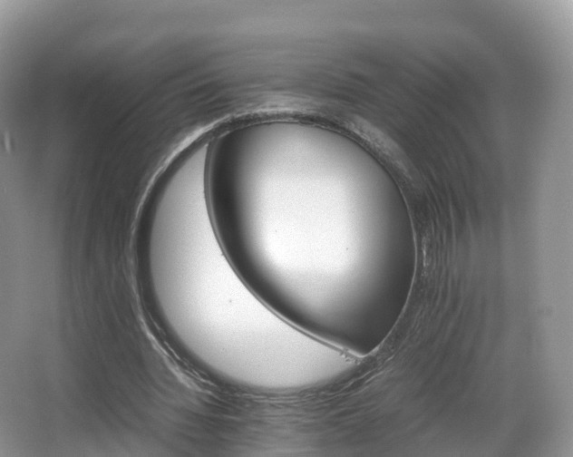 X0000066540436200603241415