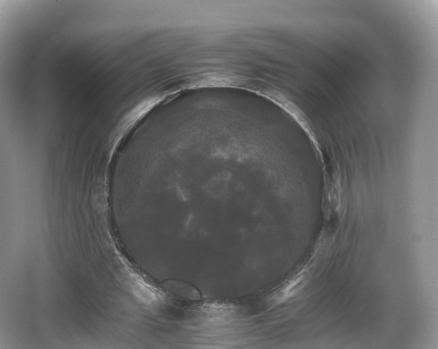 X0000066540437200603241415