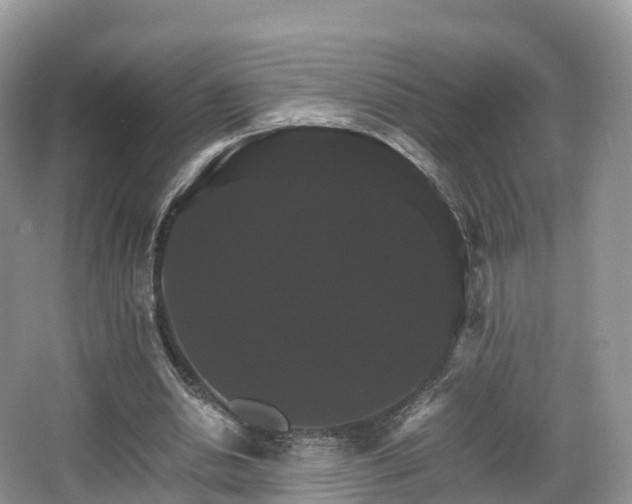 X0000066540438200603241415