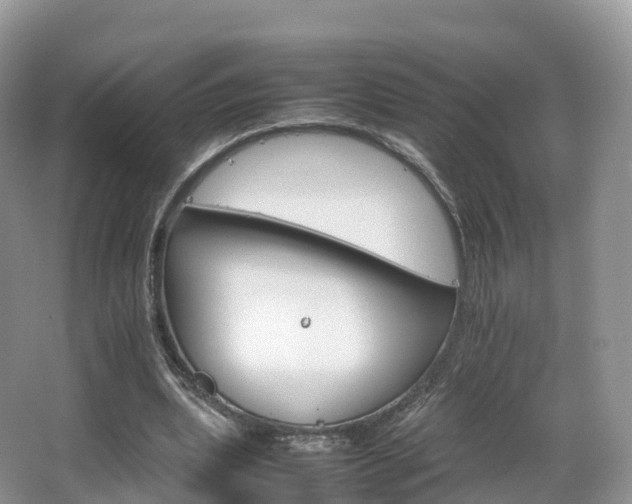 X0000066540439200603241415