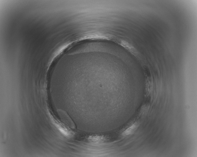 X0000066540440200603241415